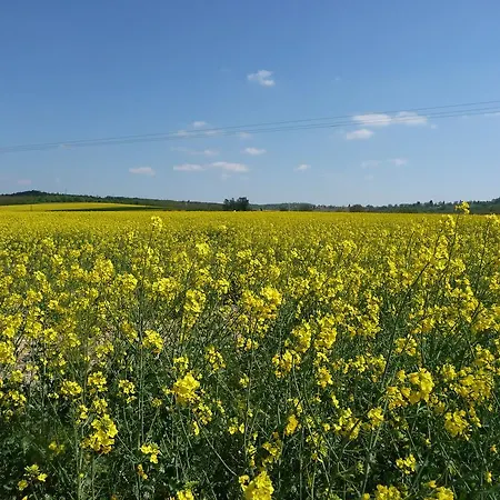 Foerhenc Wine House & I-ii-iii Holiday home Nagykanizsa