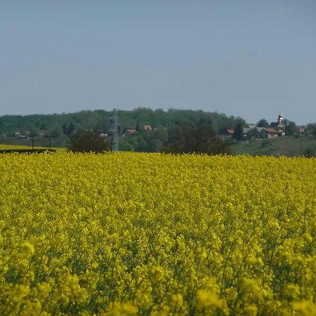 Foerhenc Wine House & I-ii-iii Nagykanizsa