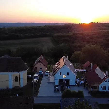 Foerhenc Wine House & I-ii-iii Holiday home *
