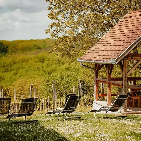 Foerhenc Wine House & I-ii-iii Holiday home