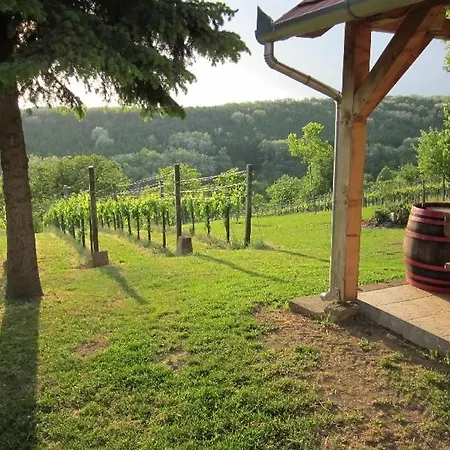 Holiday home Foerhenc Wine House & I-ii-iii Nagykanizsa