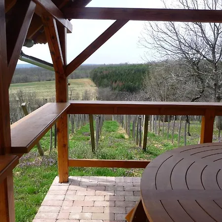 Foerhenc Wine House & I-ii-iii * Nagykanizsa