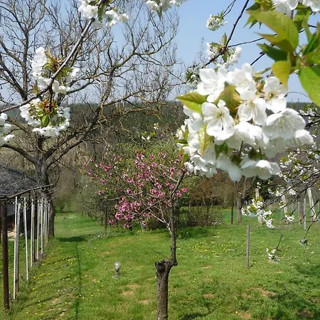 Holiday home Foerhenc Wine House & I-ii-iii
