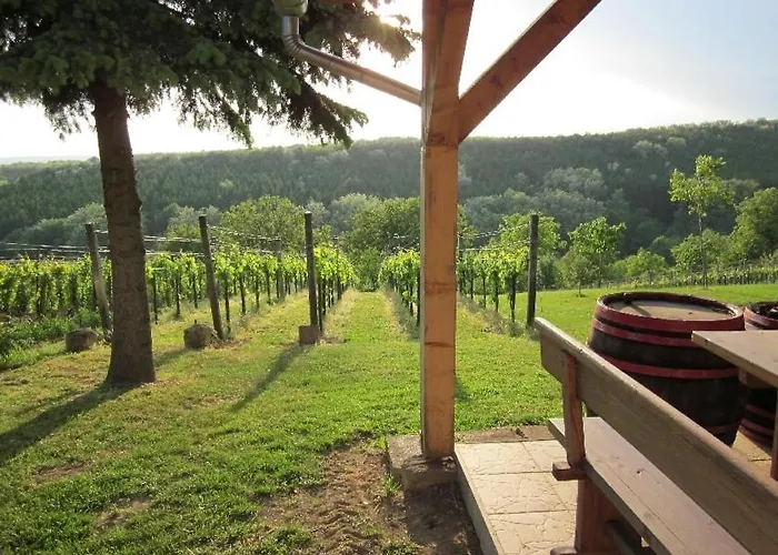 Foerhenc Wine House & I-ii-iii *